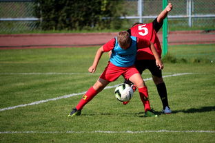 乐鱼体育下载入口-篮球运动员训练负荷监控系统开发与应用研究，篮球运动员运动负荷量